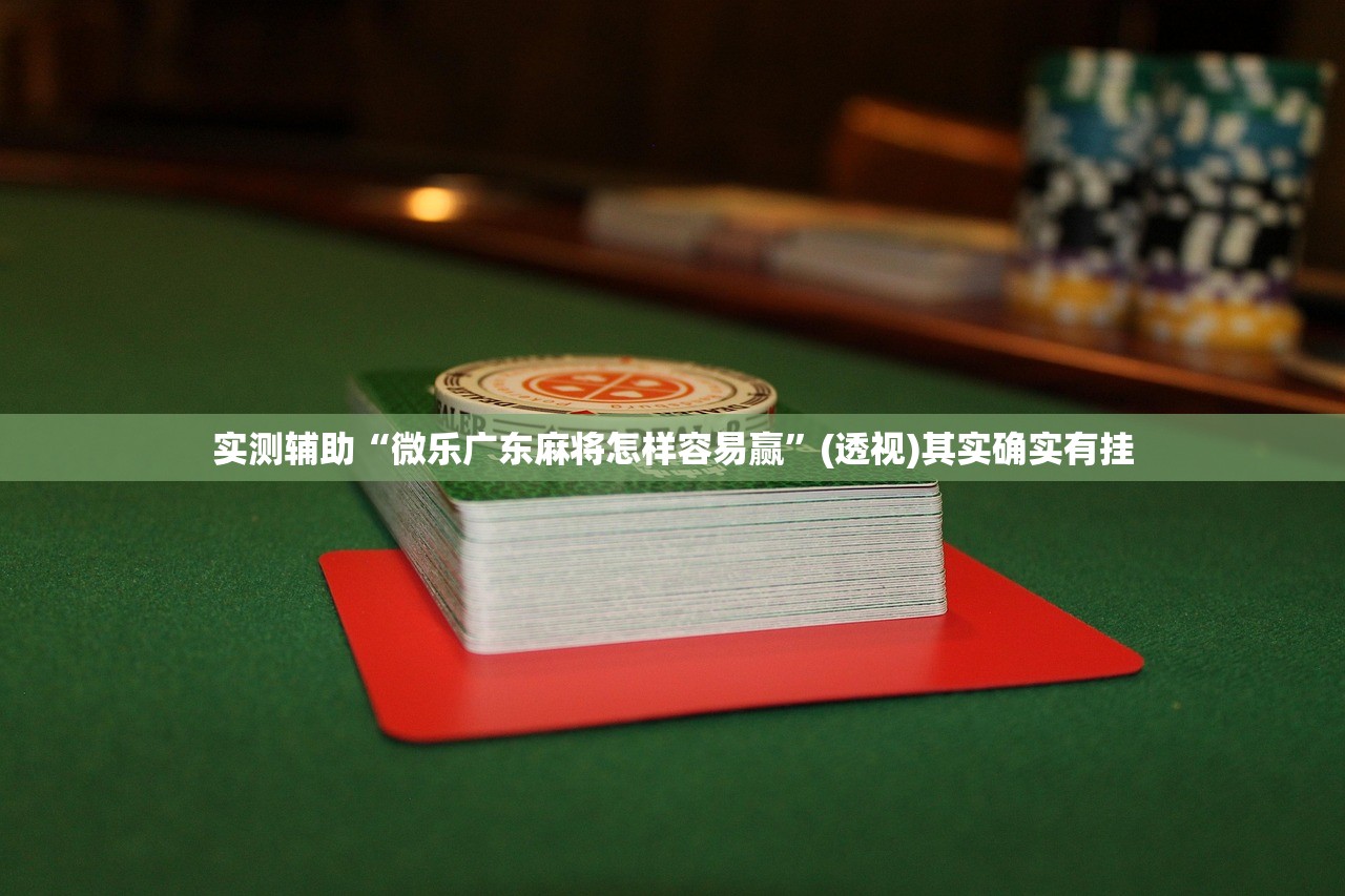 实测辅助“微乐广东麻将怎样容易赢”(透视)其实确实有挂