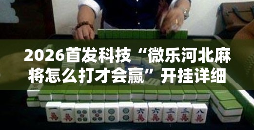 2026首发科技“微乐河北麻将怎么打才会赢”开挂详细教程