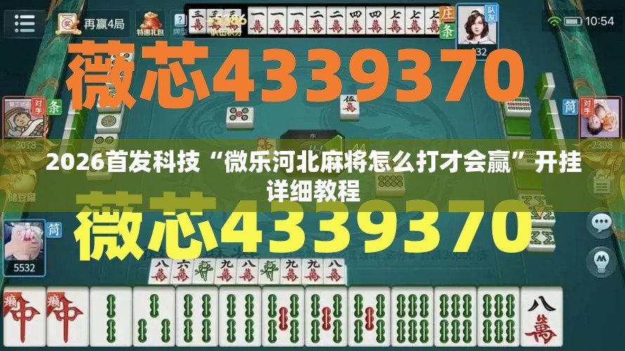 2026首发科技“微乐河北麻将怎么打才会赢	”开挂详细教程