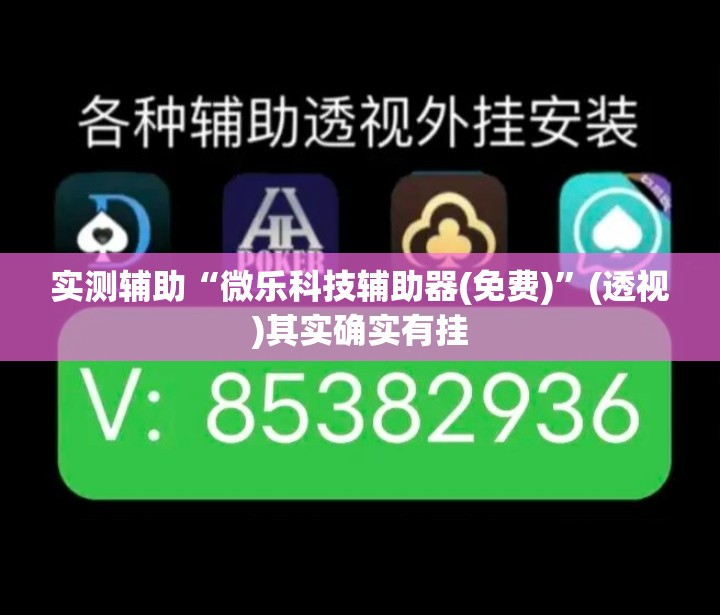 实测辅助“微乐科技辅助器(免费)”(透视)其实确实有挂