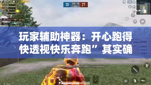 玩家辅助神器：开心跑得快透视快乐奔跑	”其实确实有挂