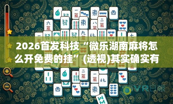 2026首发科技“微乐湖南麻将怎么开免费的挂”(透视)其实确实有挂