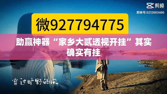 助赢神器“家乡大贰透视开挂	”其实确实有挂