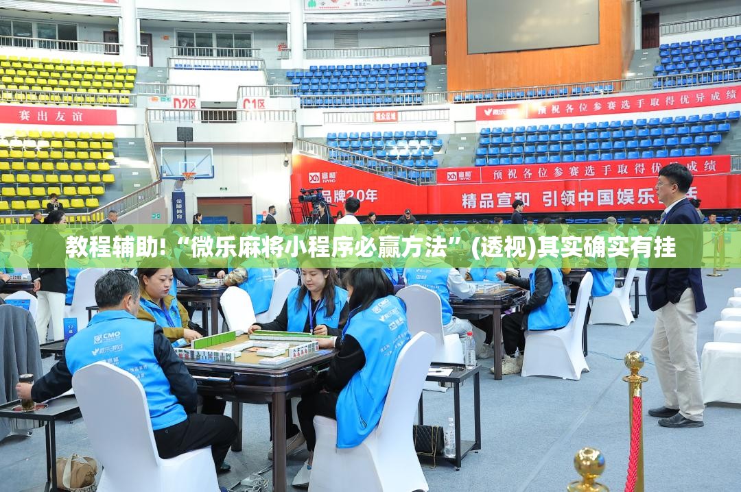 教程辅助!“微乐麻将小程序必赢方法”(透视)其实确实有挂