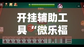 开挂辅助工具“微乐福建麻将万能开挂器”详细外挂透视辅助软件教程