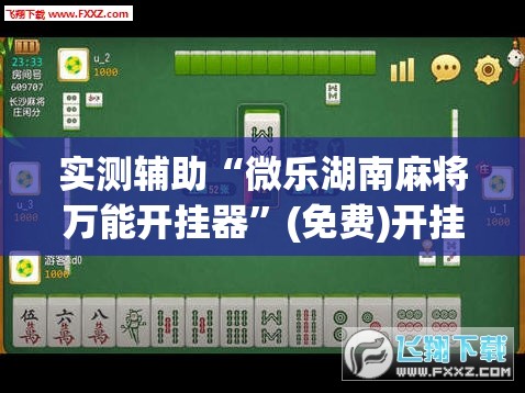实测辅助“微乐湖南麻将万能开挂器	”(免费)开挂辅助教学(最新辅助开挂教程)