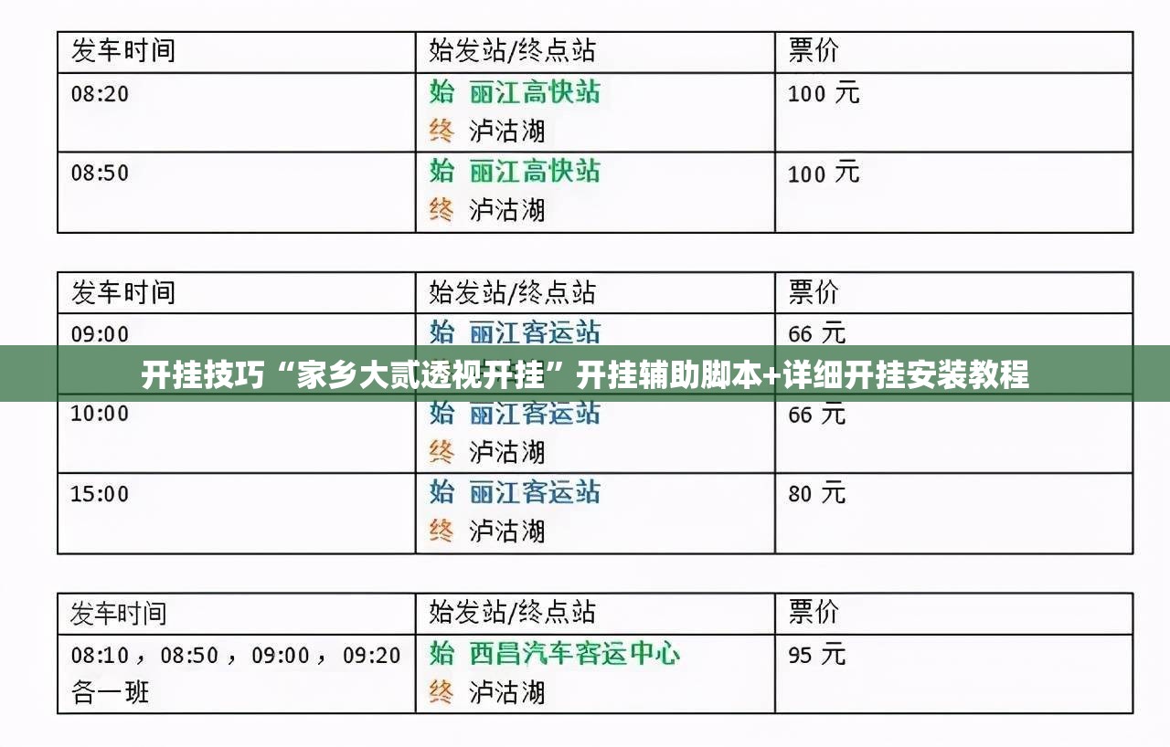 开挂技巧“家乡大贰透视开挂”开挂辅助脚本+详细开挂安装教程