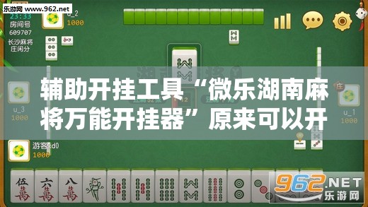 辅助开挂工具“微乐湖南麻将万能开挂器”原来可以开挂
