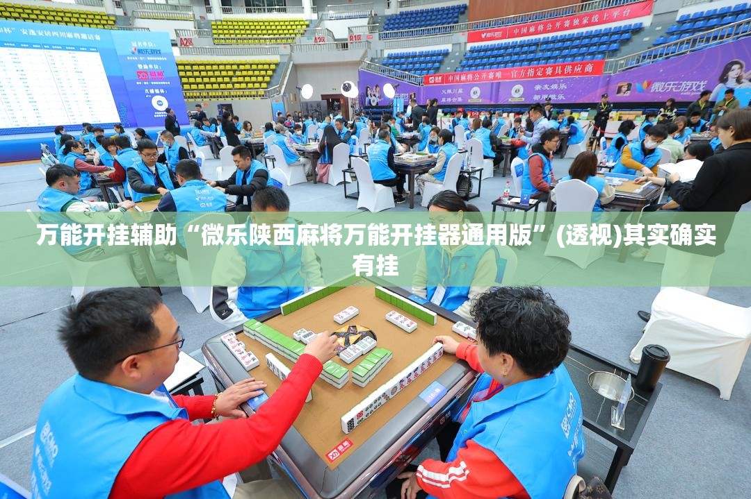 万能开挂辅助“微乐陕西麻将万能开挂器通用版”(透视)其实确实有挂