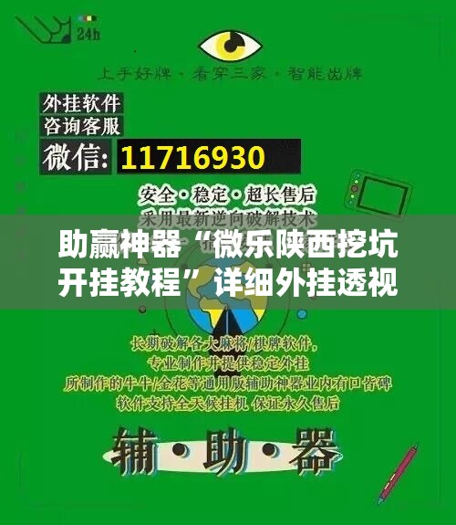 助赢神器“微乐陕西挖坑开挂教程”详细外挂透视辅助软件教程