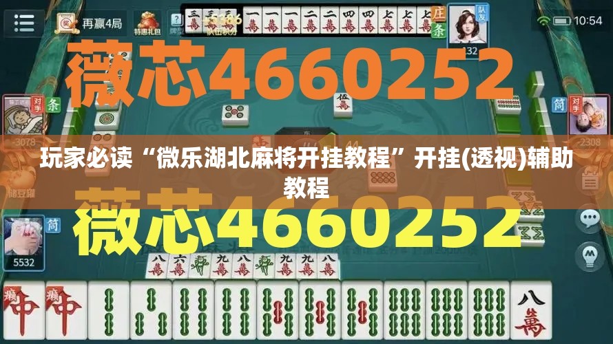 玩家必读“微乐湖北麻将开挂教程	”开挂(透视)辅助教程