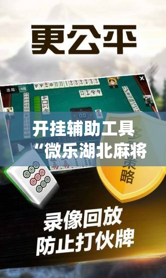 开挂辅助工具“微乐湖北麻将小程序必赢神器免费安装”开挂(透视)最新辅助详细
