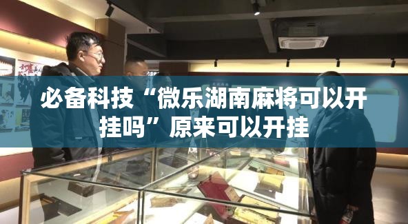 必备科技“微乐湖南麻将可以开挂吗”原来可以开挂