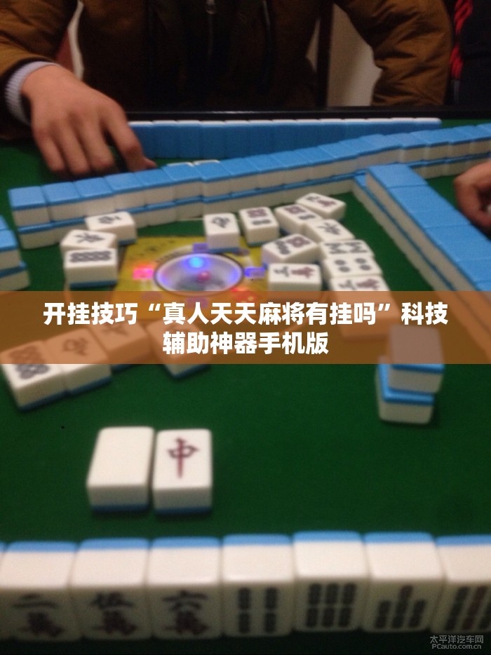 开挂技巧“真人天天麻将有挂吗”科技辅助神器手机版