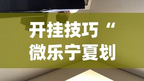 开挂技巧“微乐宁夏划水免费房间怎么开挂	”(透视挂)辅助下载教程