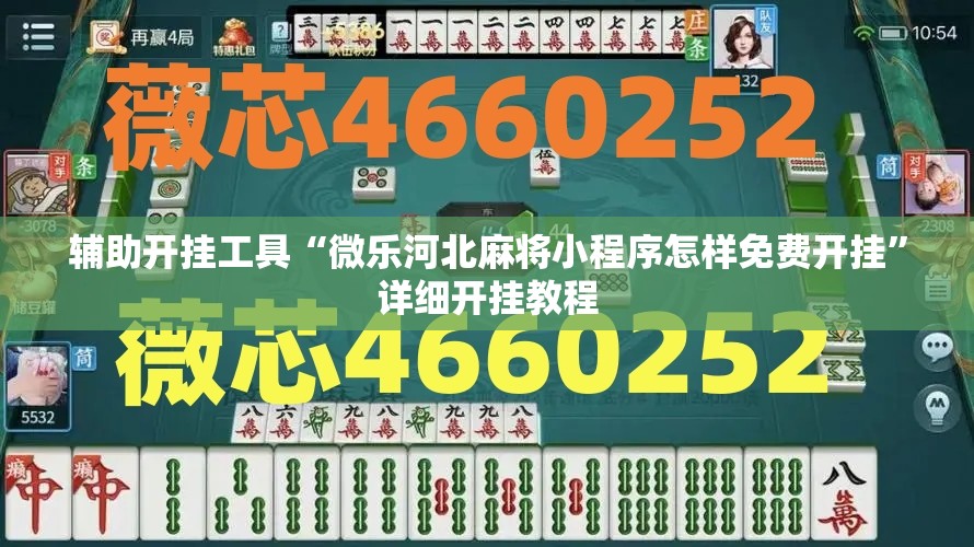 辅助开挂工具“微乐河北麻将小程序怎样免费开挂	”详细开挂教程