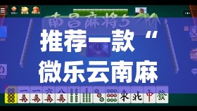 推荐一款“微乐云南麻将开挂教程”开挂(透视)最新辅助详细