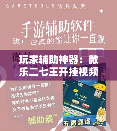 玩家辅助神器：微乐二七王开挂视频”细辅助教程分享