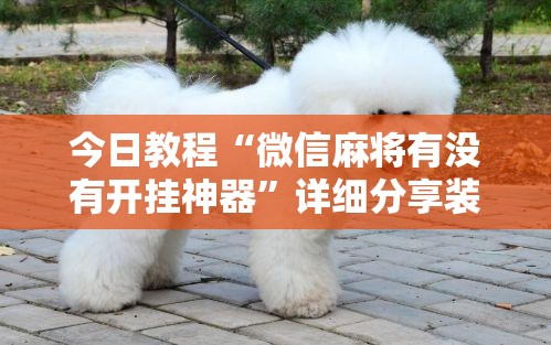 今日教程“微信麻将有没有开挂神器”详细分享装挂步骤