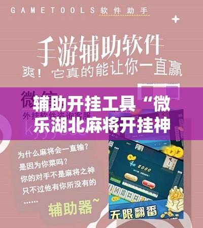 辅助开挂工具“微乐湖北麻将开挂神器”开挂辅助脚本+详细开挂安装教程