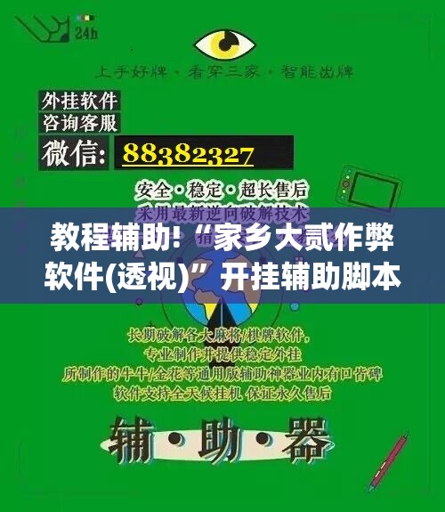 教程辅助!“家乡大贰作弊软件(透视)”开挂辅助脚本+详细开挂安装教程