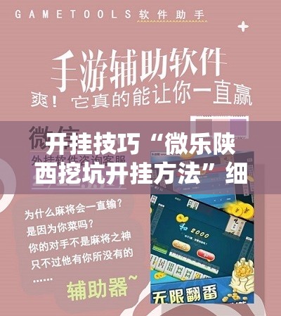 开挂技巧“微乐陕西挖坑开挂方法	”细辅助教程分享