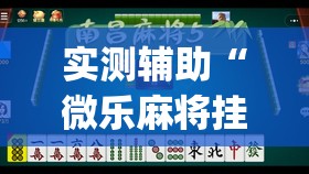 实测辅助“微乐麻将挂先试用后付款	”开挂(透视)辅助神器