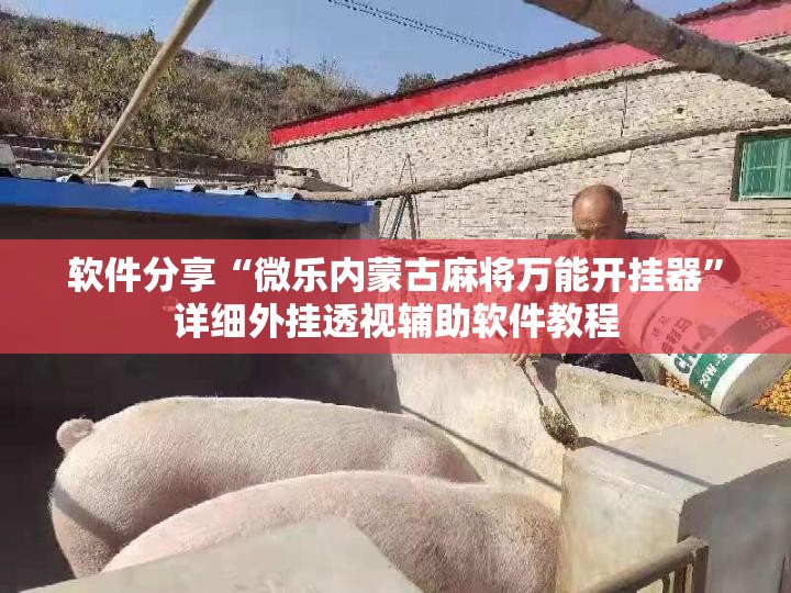 软件分享“微乐内蒙古麻将万能开挂器	”详细外挂透视辅助软件教程