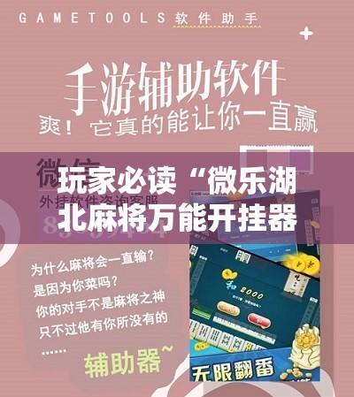玩家必读“微乐湖北麻将万能开挂器	”详细分享装挂步骤
