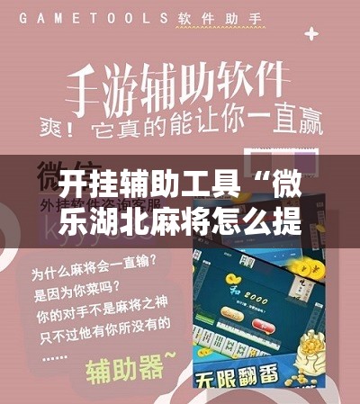 开挂辅助工具“微乐湖北麻将怎么提高胜率	”其实确实有挂