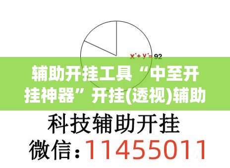 辅助开挂工具“中至开挂神器”开挂(透视)辅助教程