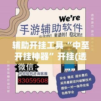 辅助开挂工具“中至开挂神器”开挂(透视)辅助教程