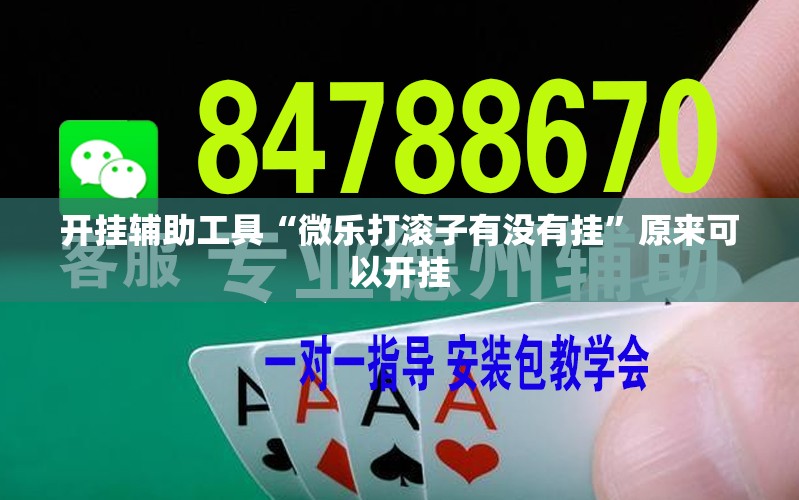 开挂辅助工具“微乐打滚子有没有挂”原来可以开挂