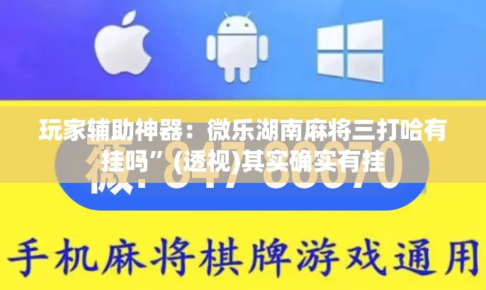 玩家辅助神器：微乐湖南麻将三打哈有挂吗”(透视)其实确实有挂
