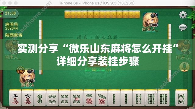 实测分享“微乐山东麻将怎么开挂”详细分享装挂步骤