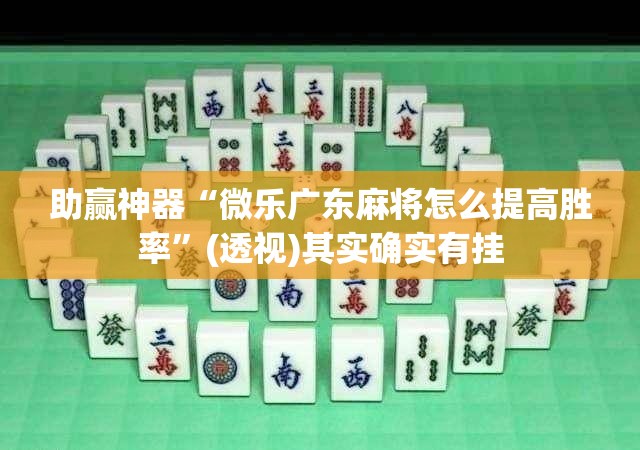 助赢神器“微乐广东麻将怎么提高胜率”(透视)其实确实有挂