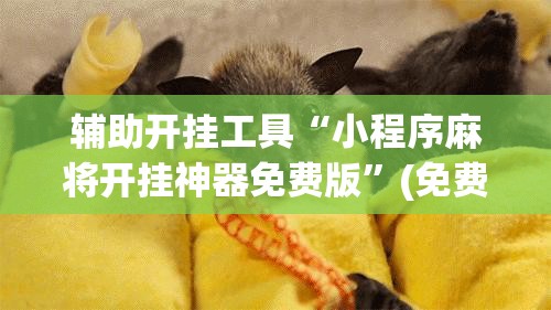 辅助开挂工具“小程序麻将开挂神器免费版	”(免费)开挂辅助教学(最新辅助开挂教程)