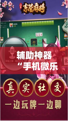 辅助神器“手机微乐麻将助赢神器”详细分享装挂步骤