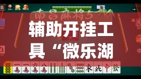 辅助开挂工具“微乐湖南麻将开挂免费下载安装”(透视)其实确实有挂
