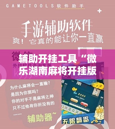 辅助开挂工具“微乐湖南麻将开挂版本软件”详细分享装挂步骤