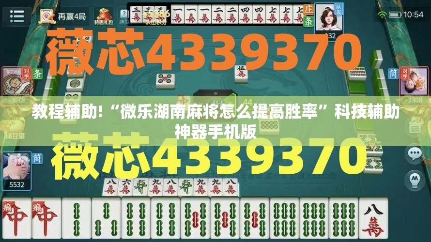 教程辅助!“微乐湖南麻将怎么提高胜率	”科技辅助神器手机版