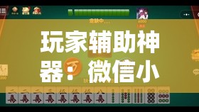 玩家辅助神器：微信小程序微乐麻将开挂神器下载	”详细分享装挂步骤