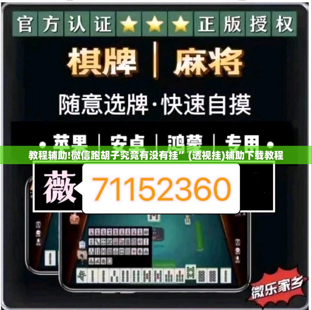 教程辅助!微信跑胡子究竟有没有挂”(透视挂)辅助下载教程
