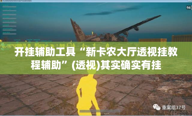 开挂辅助工具“新卡农大厅透视挂教程辅助”(透视)其实确实有挂
