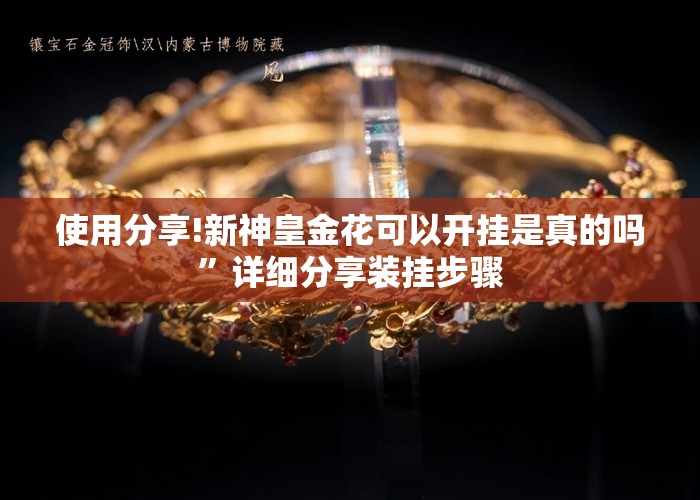 使用分享!新神皇金花可以开挂是真的吗”详细分享装挂步骤