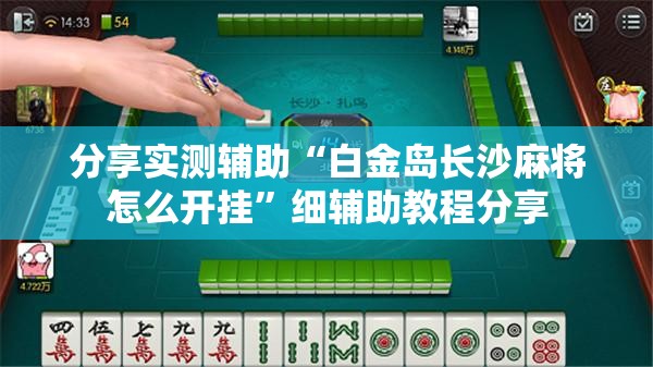 分享实测辅助“白金岛长沙麻将怎么开挂”细辅助教程分享