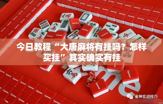 今日教程“大唐麻将有挂吗？怎样买挂”其实确实有挂