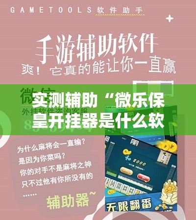 实测辅助“微乐保皇开挂器是什么软件”科技辅助神器手机版