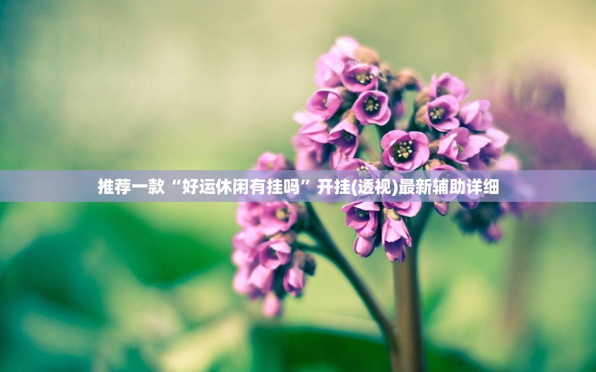 推荐一款“好运休闲有挂吗”开挂(透视)最新辅助详细