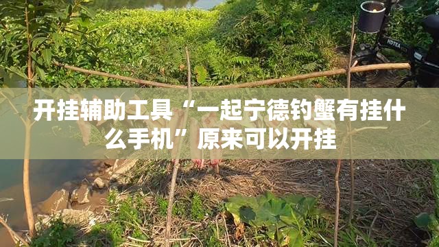 开挂辅助工具“一起宁德钓蟹有挂什么手机”原来可以开挂